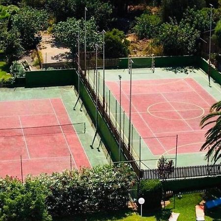 Verano Eterno En Mallorca - Alcudia! Buitenkant foto